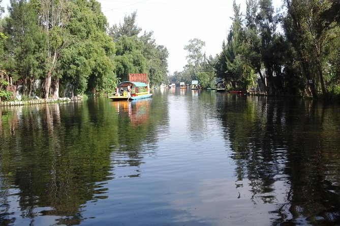Mexico City Tour And Xochimilco - Traveler Reviews