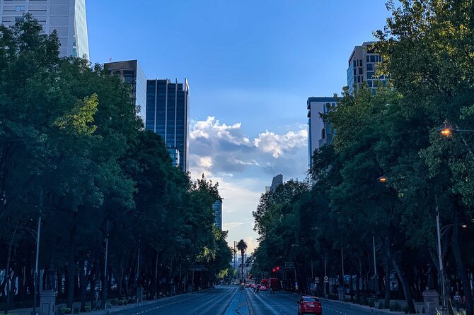 Mexico City Tour With Anthropology Museum - Highlights of Mexico City