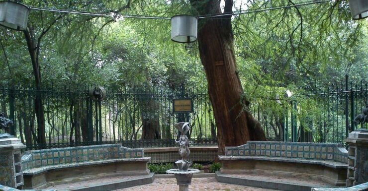 Mexico City: Walk Through Chapultepec Park Secrets Picnic - Prehispanic Art Exploration