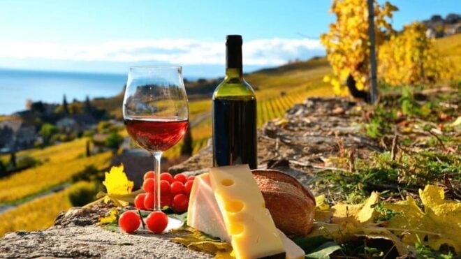 Mexico City: Wine and Cheese Tour in Querétaro - Exclusions