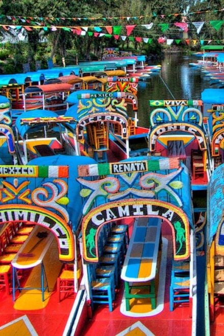 Mexico City: Xochimilco and Coyoacán Tour - COVID-19 Protocols