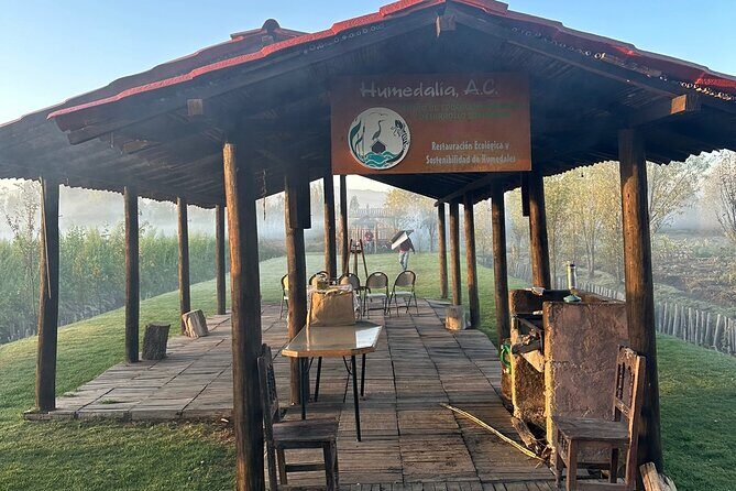 Mexico City: Xochimilco at sunrise + Breakfast and transportation - Who Should Consider This Tour?