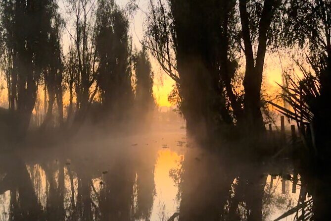 Mexico City: Xochimilco at sunrise + Breakfast and transportation - Final Thoughts