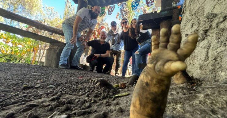 Mexico City: Xochimilco Boat Tour & The Island of the Dolls - Tour Details