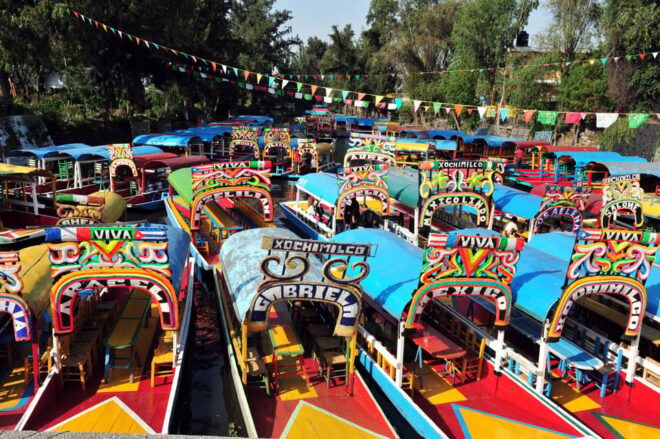Mexico City: Xochimilco, Coyoacan & Frida Kahlo Museum Tour - Customer Feedback