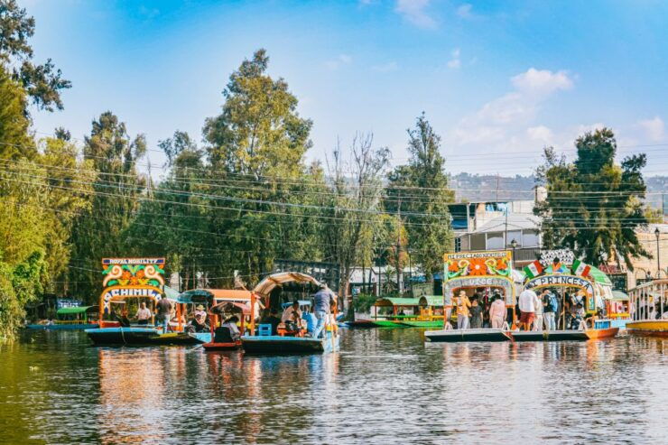 Mexico City: Xochimilco, Coyoacan, Frida Kahlo & UNAM - Tour Highlights