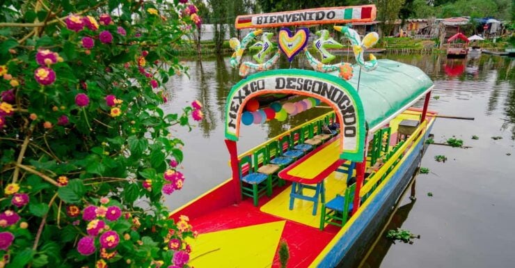 Mexico City: Xochimilco, Coyoacan & UNAM Tour - Experience Highlights
