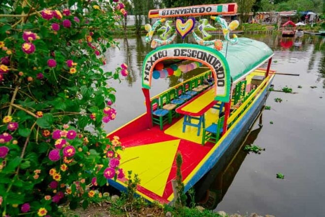 Mexico City: Xochimilco, Coyoacan & UNAM Tour - Xochimilco Boat Ride