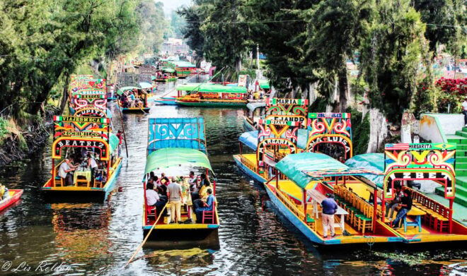 Mexico City: Xochimilco, Coyoacan & UNAM Tour - Mexico City Neighborhoods