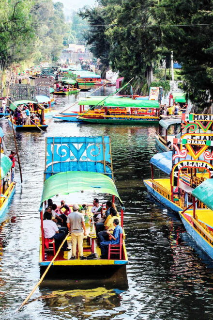 Mexico City: Xochimilco, Coyoacan & UNAM Tour - Tour Inclusions