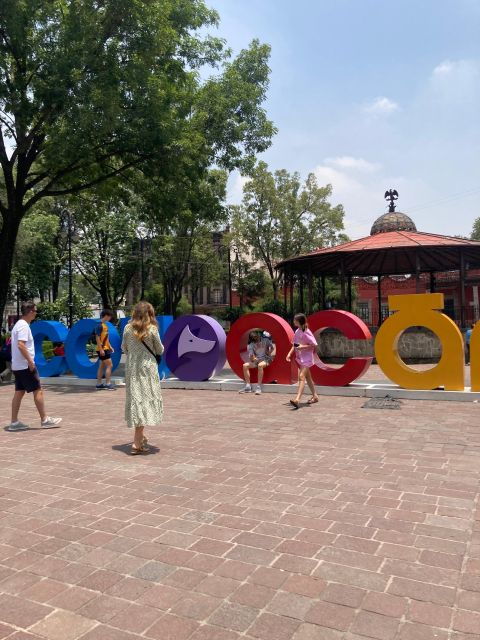 Mexico: Coyoacán & Xochimilco: VW Bus, Boat, Brunch & Fun - Meeting Point
