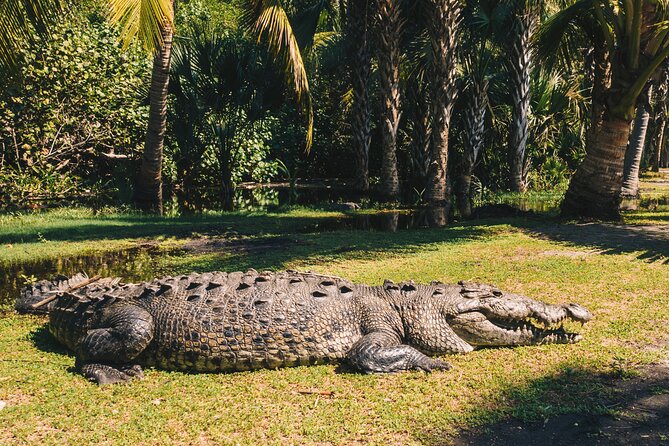 Mexico Eco-Tourism Excursion to Escobilla Sanctuary  - Huatulco - Meeting and Pickup Details