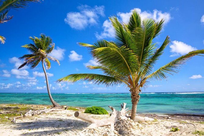 Mexico Private Transfer from Marina Vallarta to Puerto Vallarta (PVR) Airport - In-Depth Breakdown of the Experience