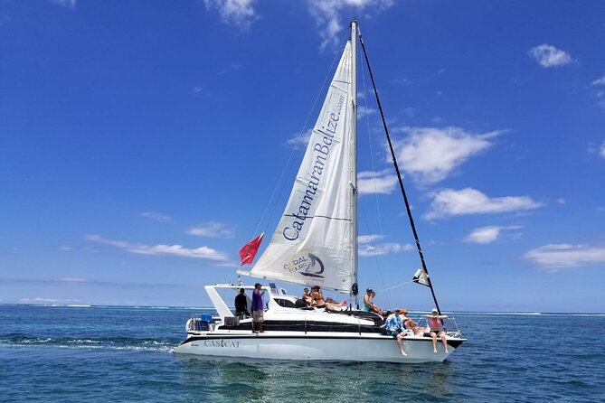Mexico Rocks Day Sail Shared Guided Tour - Tour Highlights