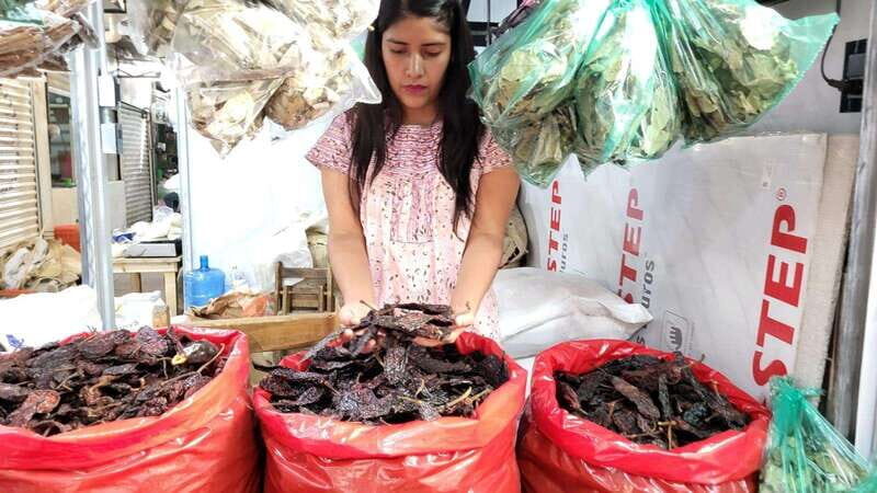 Mexico: Salsa Making Class in a Market with a Chef - The Sum Up  