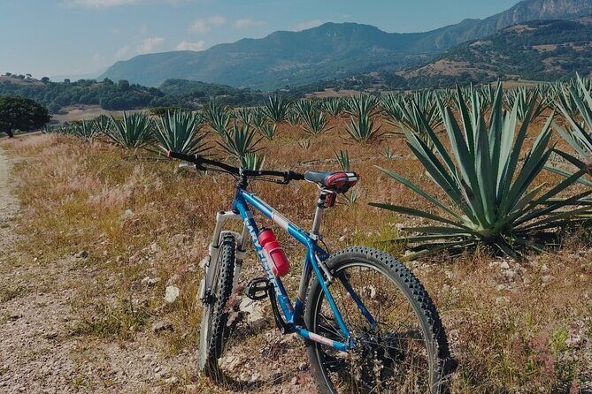 Mezcal Culture Cycling Tour in a Zapotec Village - Who Will Love This Tour?