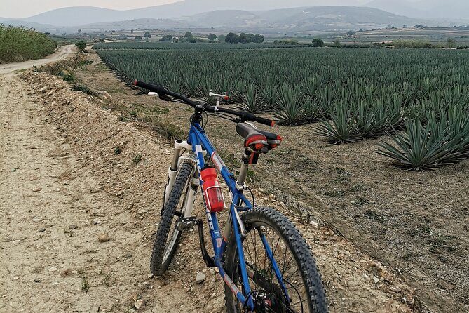 Mezcal Culture Cycling Tour in a Zapotec Village - FAQ
