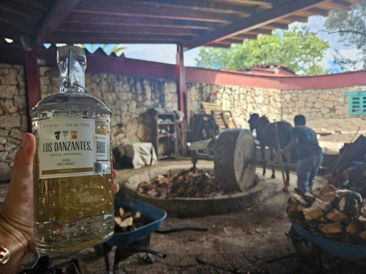 Mezcal Day Premium Family Distilleries Tour With Lunch - Tour Highlights