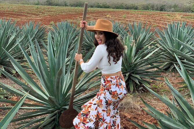 Mezcal Food Tasting Tour with Lunch Included - Unpacking the Tour: What’s Included and Why It Matters