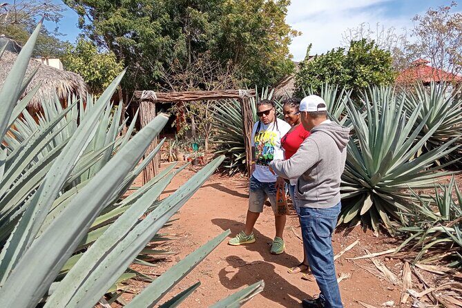 Mezcal Food Tasting Tour with Lunch Included - FAQ