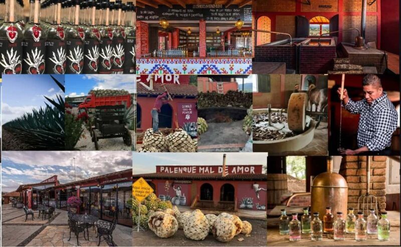 Mezcal Oaxaca: Tour, Gastronomy and Mezcal Tasting - A Deep Dive Into the Oaxaca Mezcal Tour