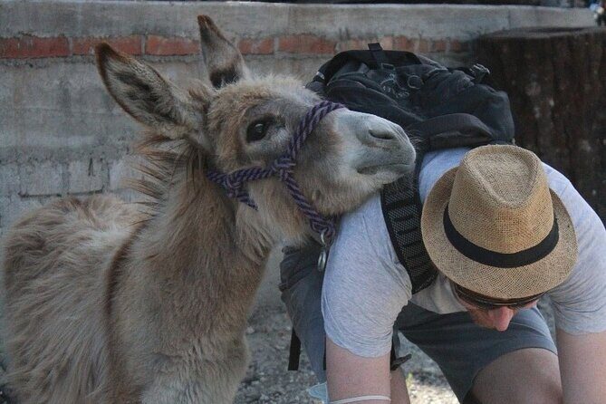 Mezcal Tour Oaxaca - Additional Insights from Reviews
