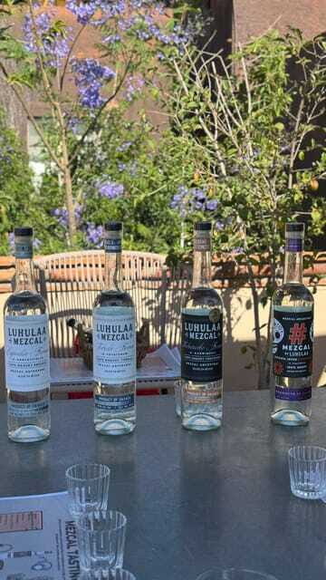 Mezcales tradicionales: Experiencia de Sabores con Historia - Practical Details and Value