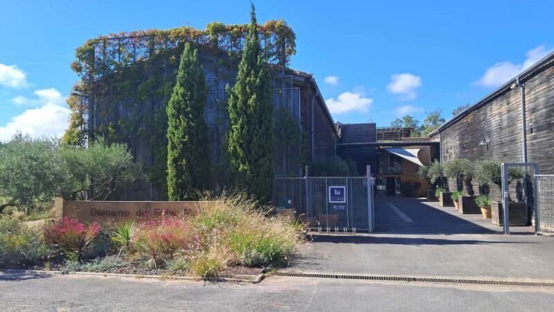 Mèze: Guided Tour of the Estate & Wine Tasting - Mèze: Guided Tour of the Estate & Wine Tasting — A Deep Dive into French Viticulture