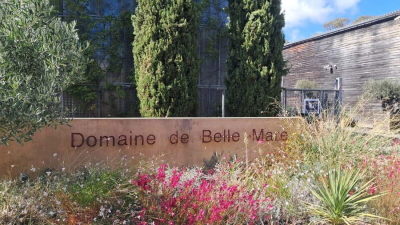 Mèze: Guided Tour of the Estate & Wine Tasting - Good To Know