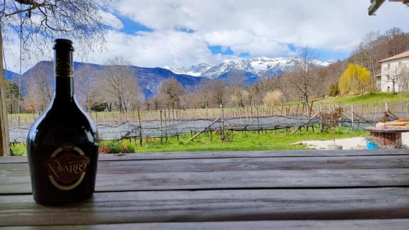 Mezzocorona: Scenic Vineyard Visit on Mount, Tasting 3 Wines - Good To Know