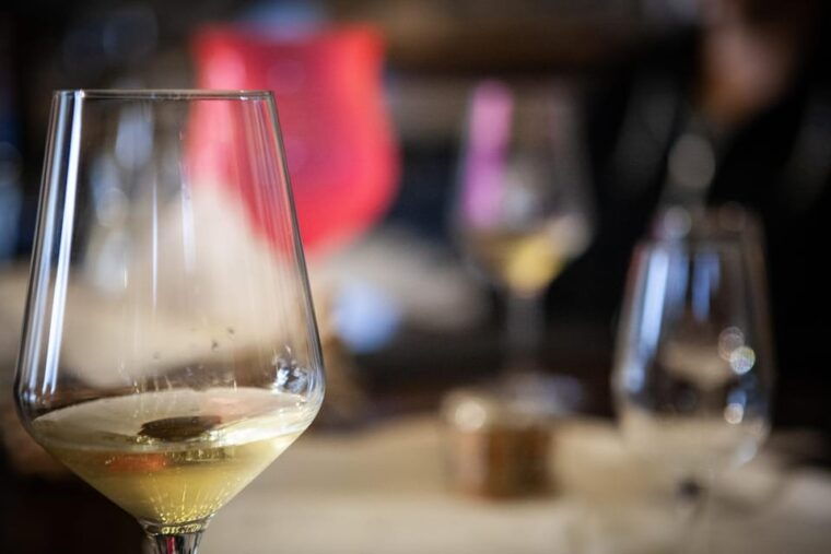 Mezzocorona: Scenic Vineyard Visit on Mount, Tasting 3 Wines - Important Information for Visitors