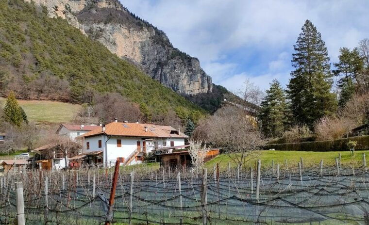 Mezzocorona: Scenic Vineyard Visit on Mount, Tasting 3 Wines - Booking and Cancellation Policy