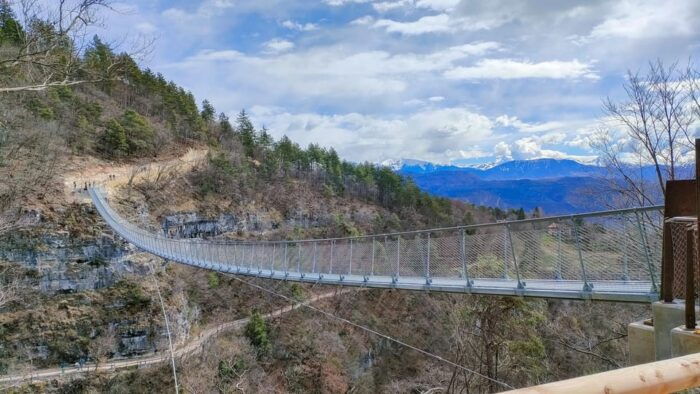 Mezzocorona: Scenic Vineyard Visit on Mount, Tasting 3 Wines - Frequently Asked Questions