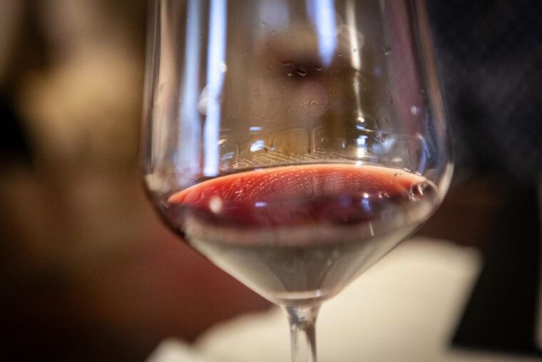 Mezzocorona: Teroldego Vineyard Tour and Wine Tasting - Accessibility and Group Size Information
