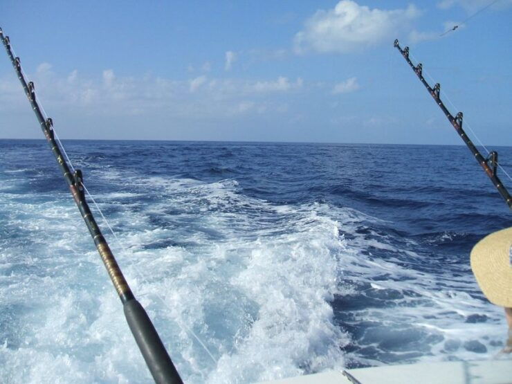 Miami: 4-Hour Deep Sea Fishing Trip on Biscayne Bay - Activity Details