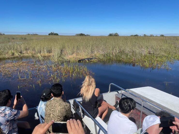 Miami: 60 Min Airboat, Transfer and Wildlife Sanctuary - Airboat Experience