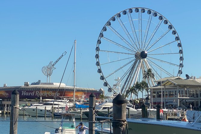 Miami: 90-Minute Skyline & South Beach Millionaire Homes Cruise & Hard Rock Meal - Tour Overview