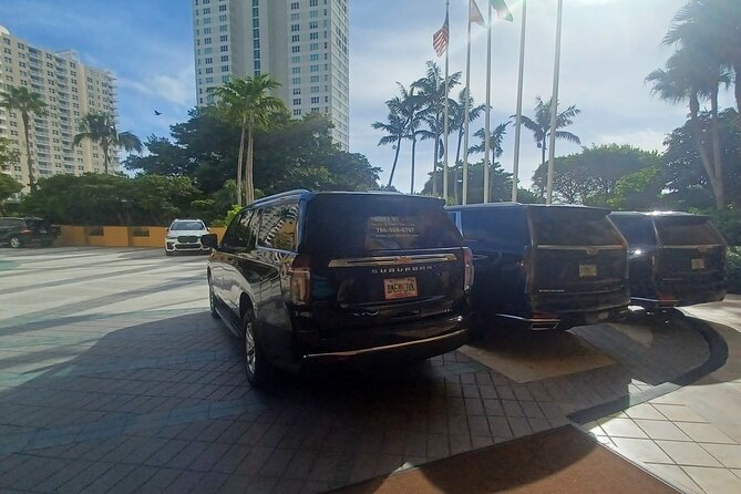 Miami Airport and Port of Miami Transfers, Limo Service in Miami - Service Animals and Public Transportation