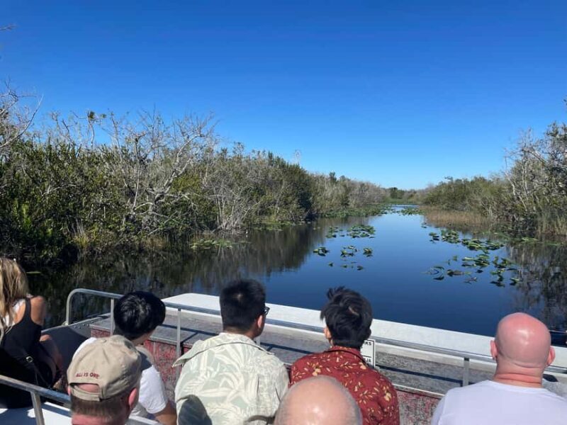 Miami: Alligator Spotting Airboat and Wildlife Reserve - Who Will Love This Tour?