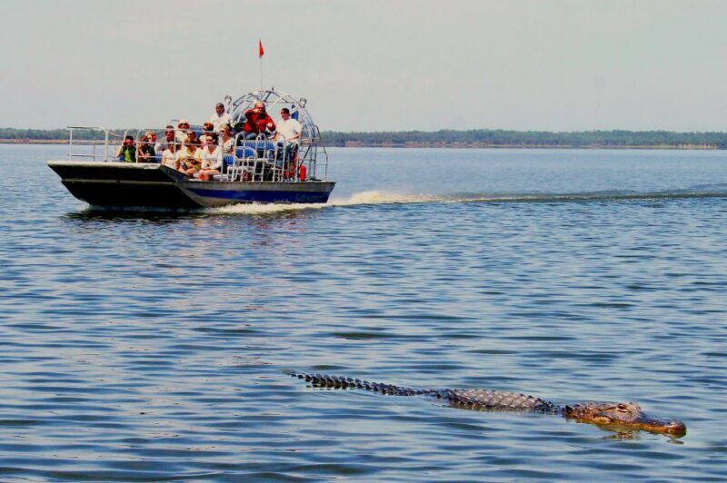 Miami: Alligator Spotting Airboat with Pick-Up/Drop-off - Who Should Consider This Tour?