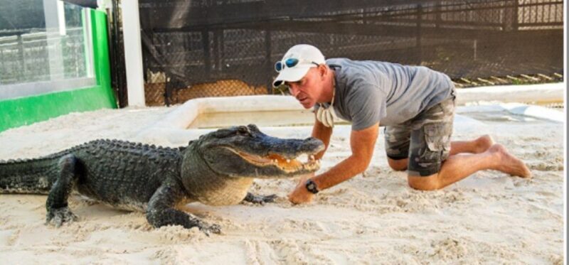 Miami Beach: Everglades Airboat Tours and Rides - Good To Know