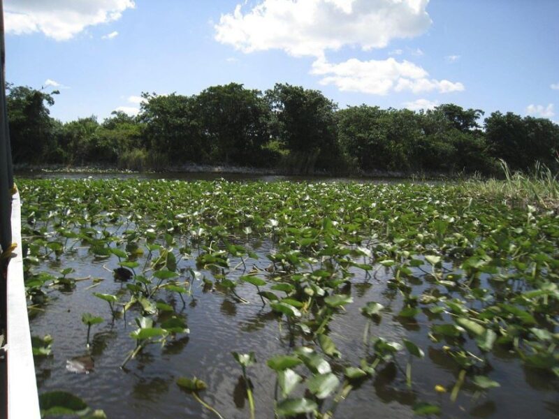Miami Beach: Everglades Airboat Tours and Rides - Who Will Appreciate This Tour?