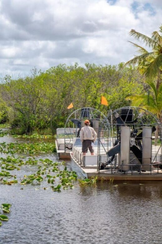Miami Beach: Everglades Airboat Tours and Rides - The Sum Up