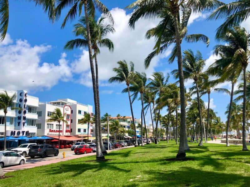 Miami Beach: Guided Tour with Expert Local Guide - What to Expect from the Miami Beach Guided Tour