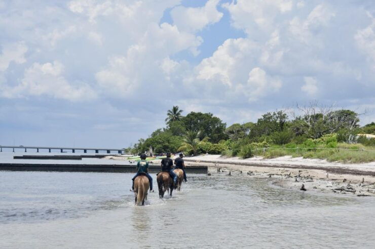 Miami: Beach Horse Ride & Nature Trail - Well-Fed Horses for All Riding Levels