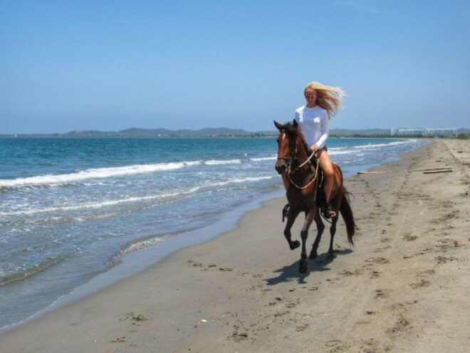 Miami: Beach Horse Ride & Nature Trail - Trotting on Pristine Beach Sands