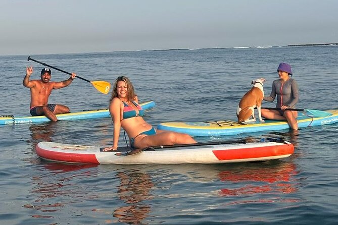 Miami Beach Paddleboard Rental With Instruction - Rental Options