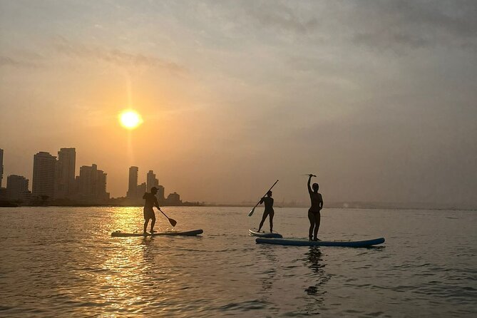 Miami Beach Paddleboard Rental With Instruction - Refund Availability