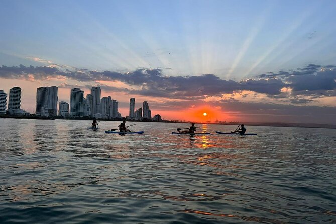 Miami Beach Paddleboard Rental With Instruction - Review Ratings