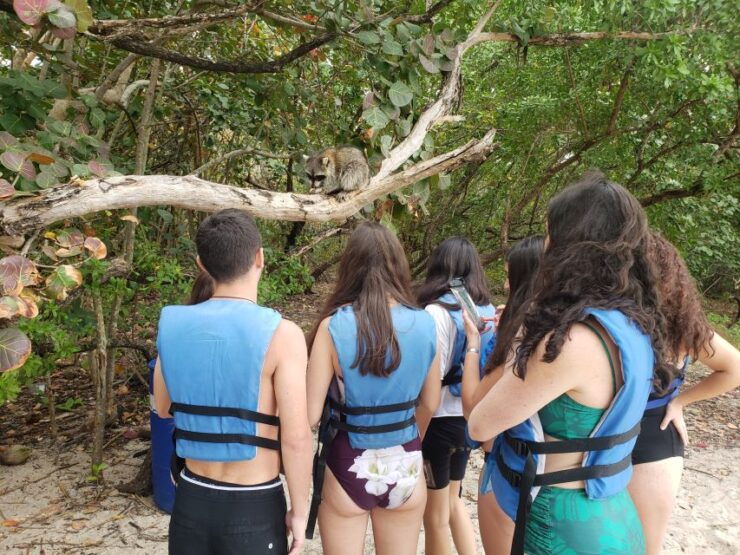 Miami: Beginner-Friendly Island Snorkeling by SUP or Kayak - Good To Know